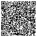 QR code with A Salon contacts