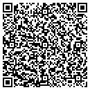 QR code with Precision Automotive contacts