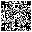 QR code with Shell contacts