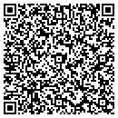 QR code with Precision Auto Sales contacts