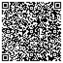 QR code with Purseanalities Plus contacts