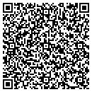 QR code with Pplconcepts Co contacts