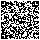 QR code with Chaney Boyd Designs contacts