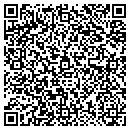 QR code with Blueskies Travel contacts