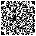 QR code with Pace contacts