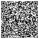 QR code with Project Solutions contacts