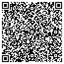 QR code with Cellular Express Inc contacts