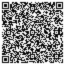 QR code with Precision Inspection contacts