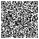 QR code with Public Works contacts