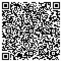 QR code with Wilson contacts