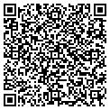 QR code with Allied contacts