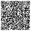 QR code with DAngelo contacts