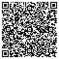 QR code with TMGLLC contacts