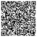 QR code with Lacies contacts