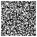 QR code with Professional Motors contacts