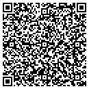 QR code with Pro Mix Technologies contacts
