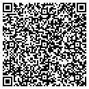 QR code with Princeton Review contacts
