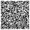 QR code with Pulse Radar Inc contacts