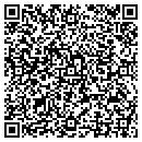 QR code with Pugh's Auto Salvage contacts