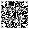 QR code with Shell contacts