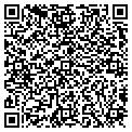 QR code with Q-Gas contacts