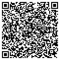 QR code with Soltex contacts
