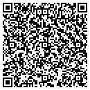 QR code with Purse Strings contacts