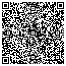 QR code with Cognisa Security contacts