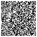 QR code with Pronet Solutions Corp contacts