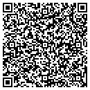 QR code with Print World contacts