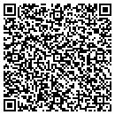 QR code with Brylak Wallace M Jr contacts