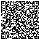 QR code with Christian J Lyda CPA contacts