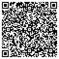QR code with Shell contacts