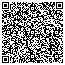 QR code with Pro Website Services contacts