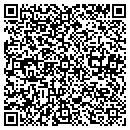 QR code with Professional Painter contacts