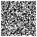 QR code with Professional Search contacts