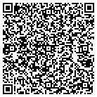 QR code with Public Event Facilities contacts