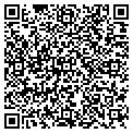 QR code with Buckle contacts
