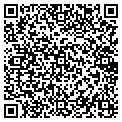 QR code with Shell contacts