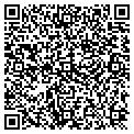 QR code with Netit contacts