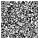 QR code with Pylant Tires contacts