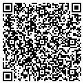 QR code with Shojin contacts