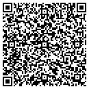 QR code with Process Chemicals Inc contacts