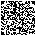 QR code with Shell contacts