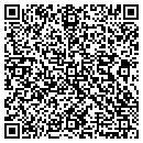 QR code with Pruett Aviation Inc contacts