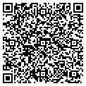 QR code with NECBNS contacts