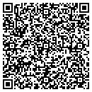 QR code with Public Storage contacts