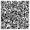 QR code with Ttweak contacts