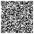 QR code with Premier Dancerscom contacts