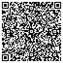 QR code with Pro Security Systems contacts